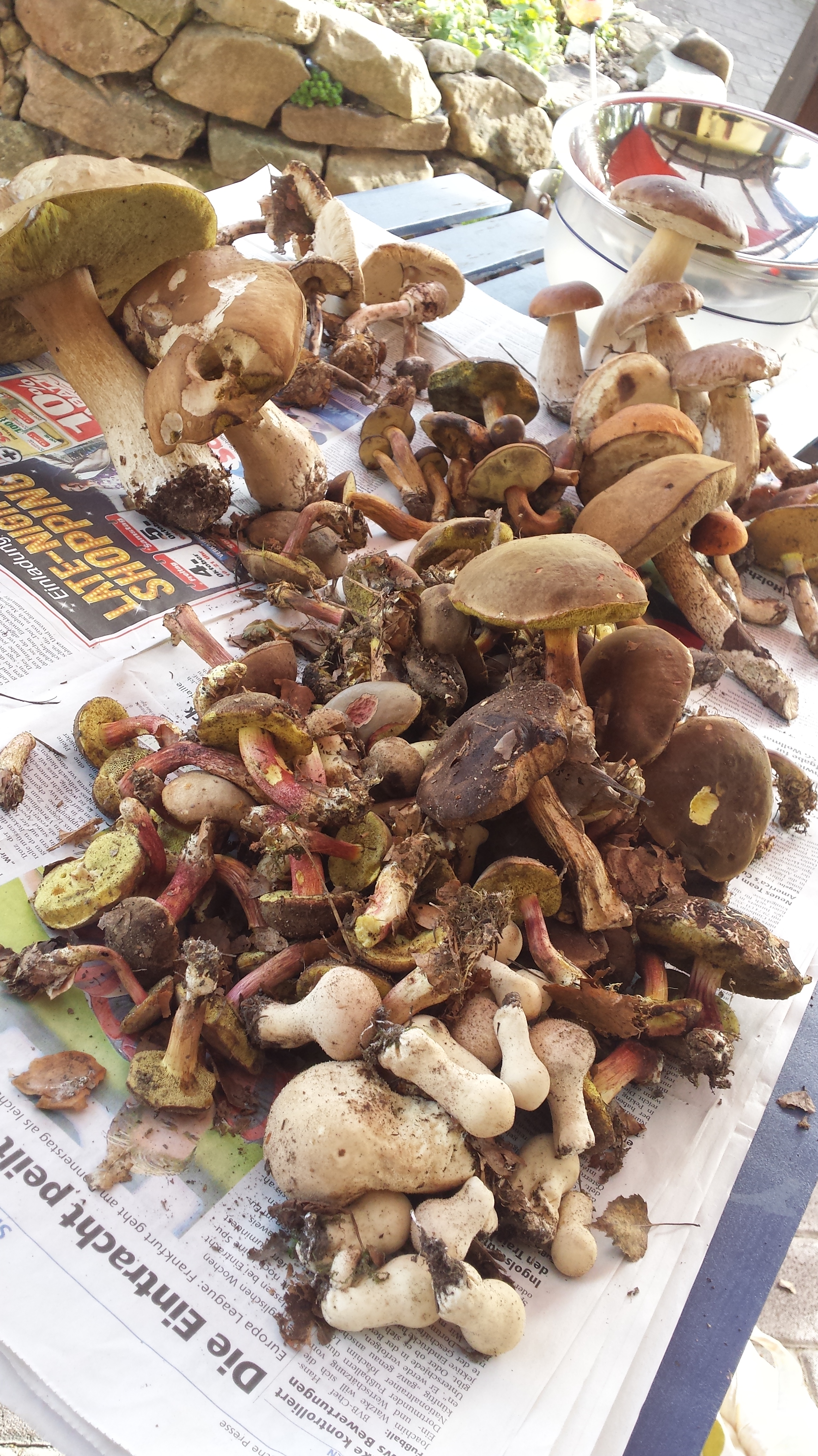 Foto: www.KreativeKaos.de