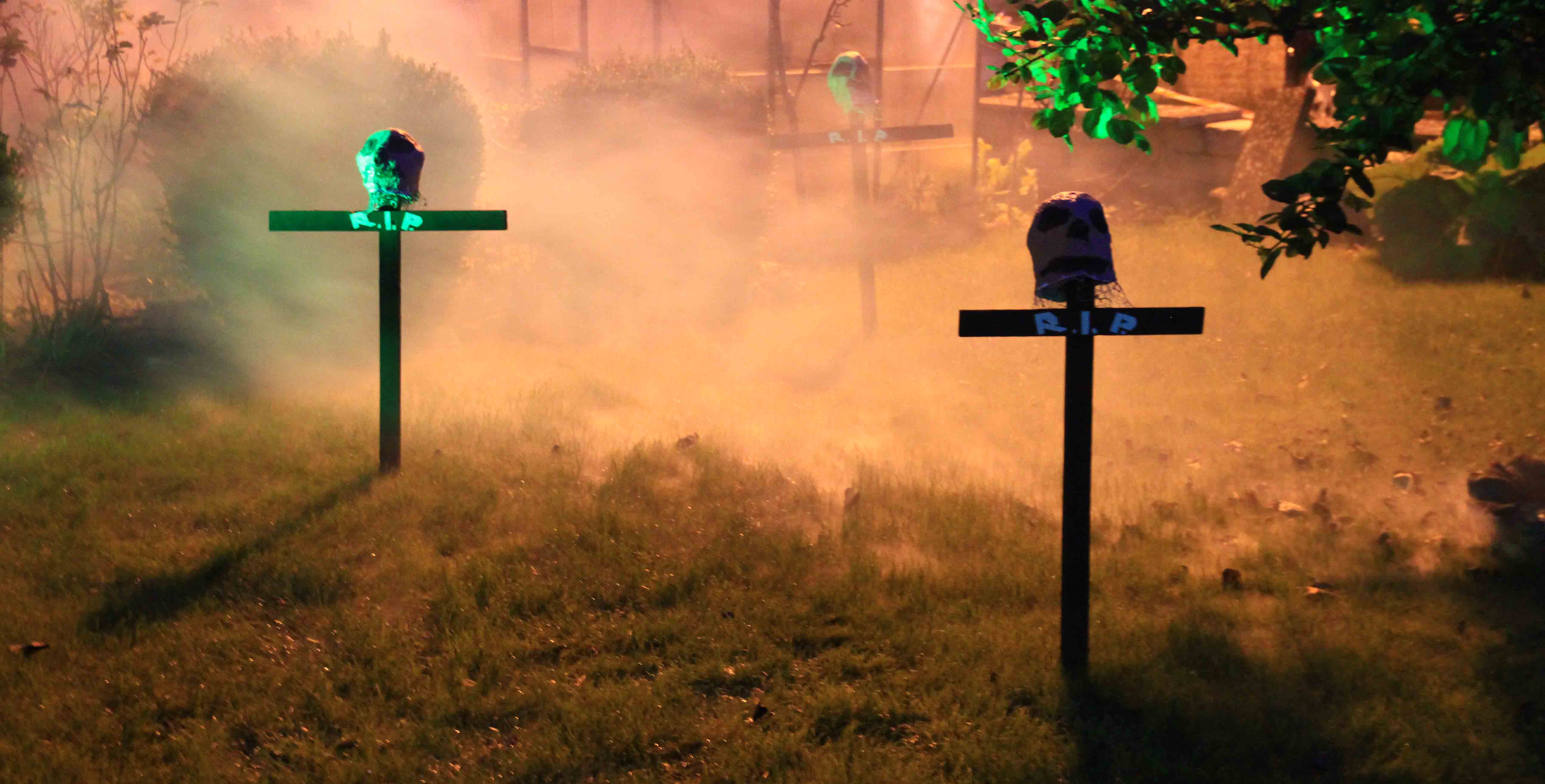 Foto: www.KreativeKaos.de