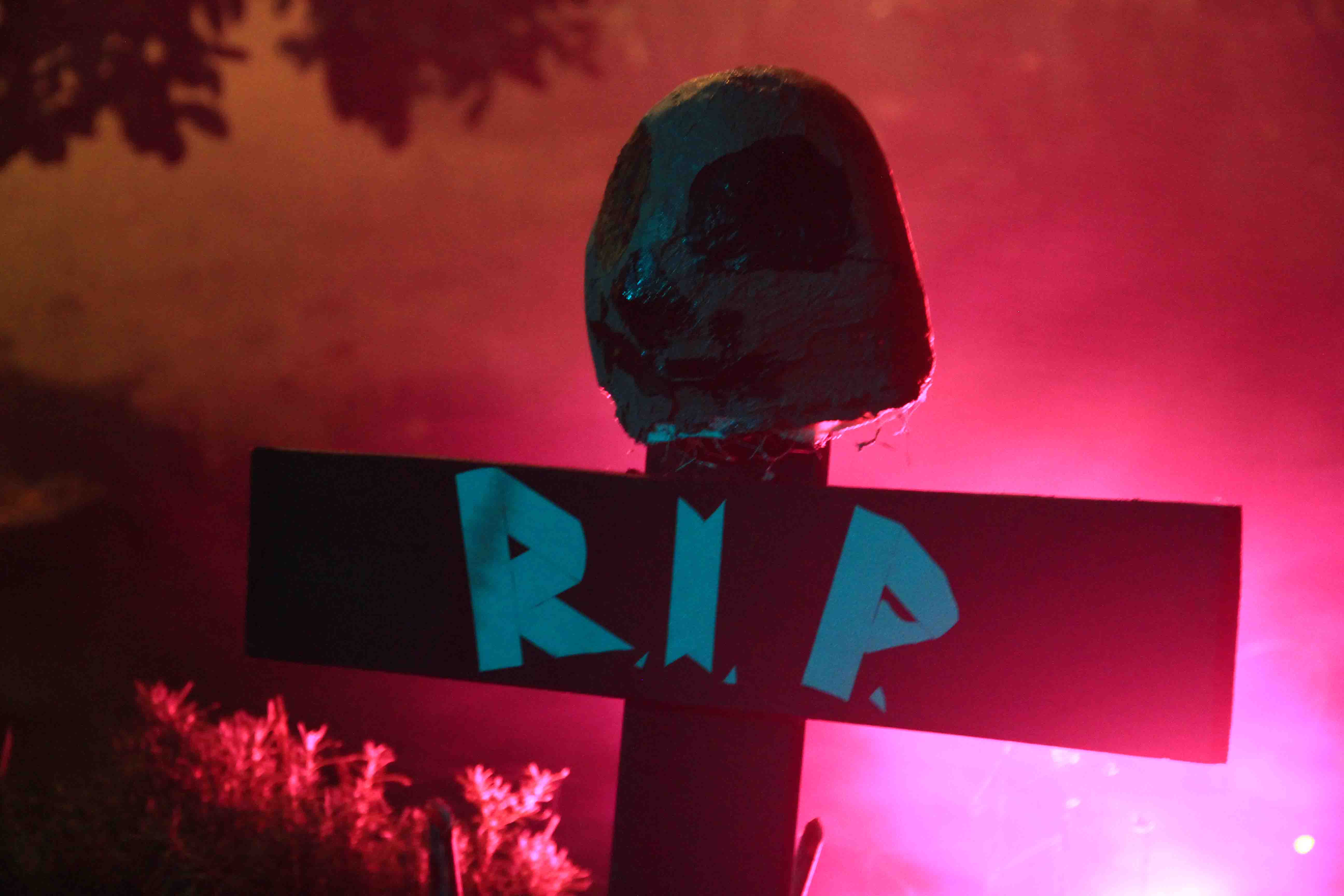 Foto: www.KreativeKaos.de