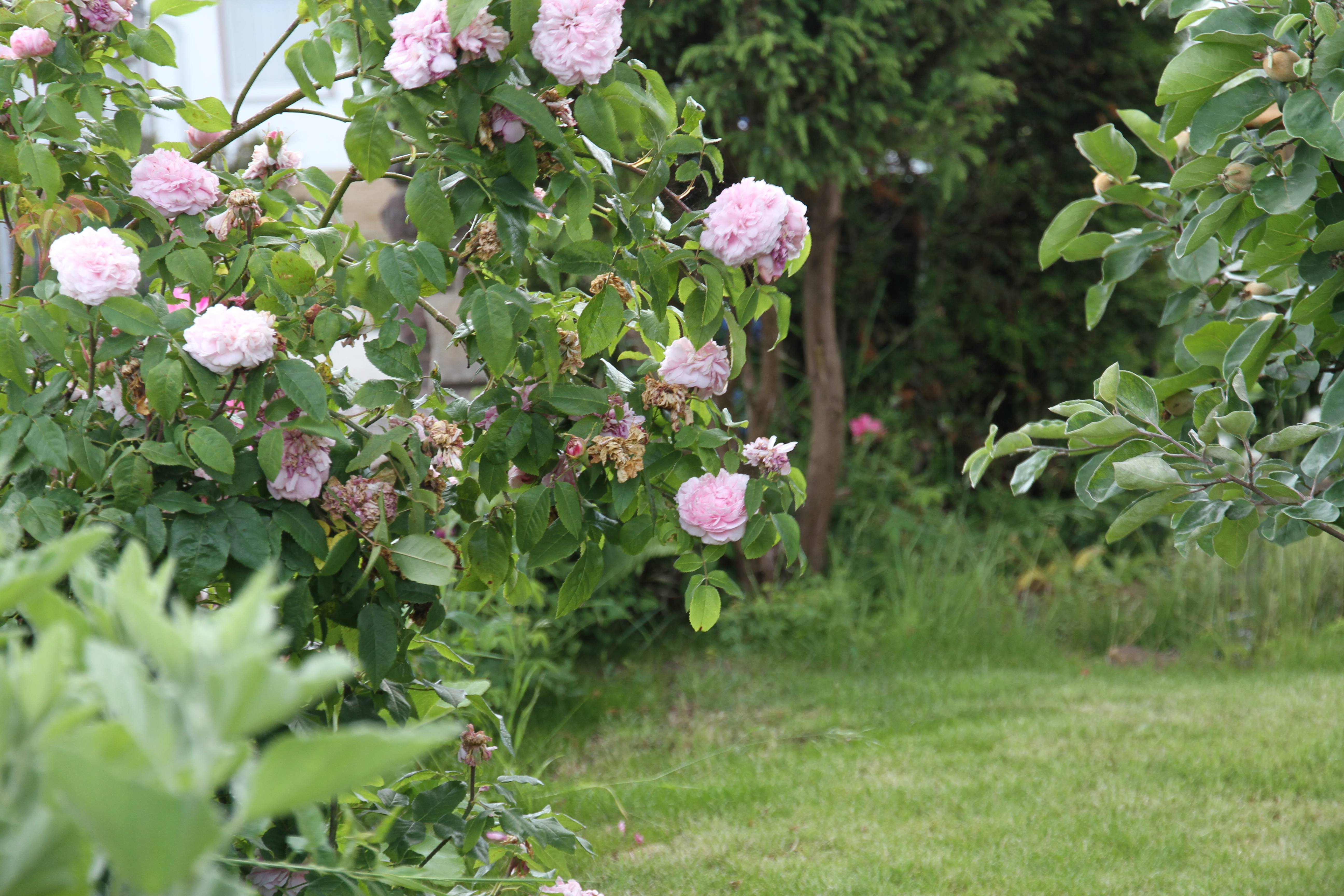 Foto: www.KreativeKaos.de