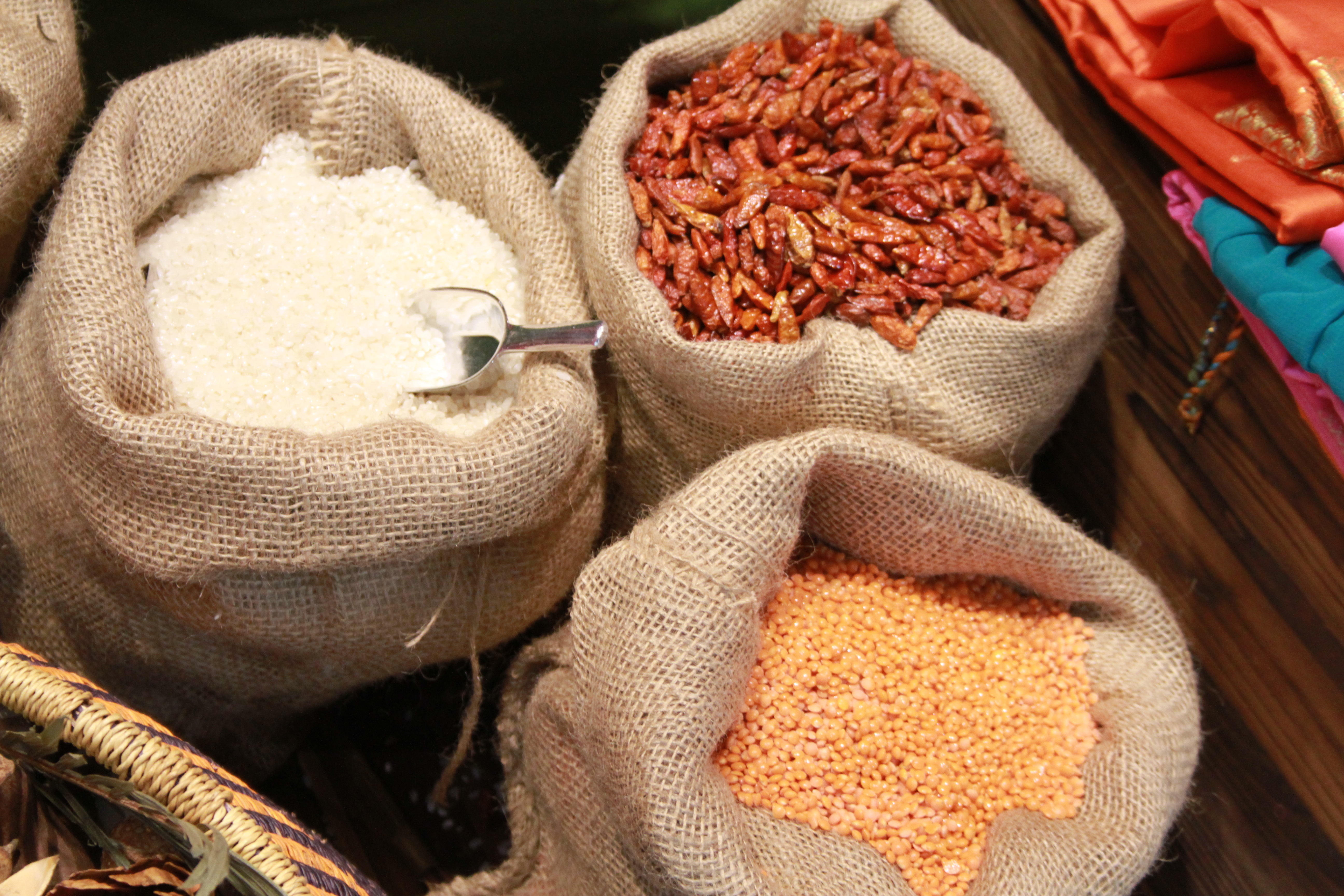 Foto: www.KreativeKaos.de