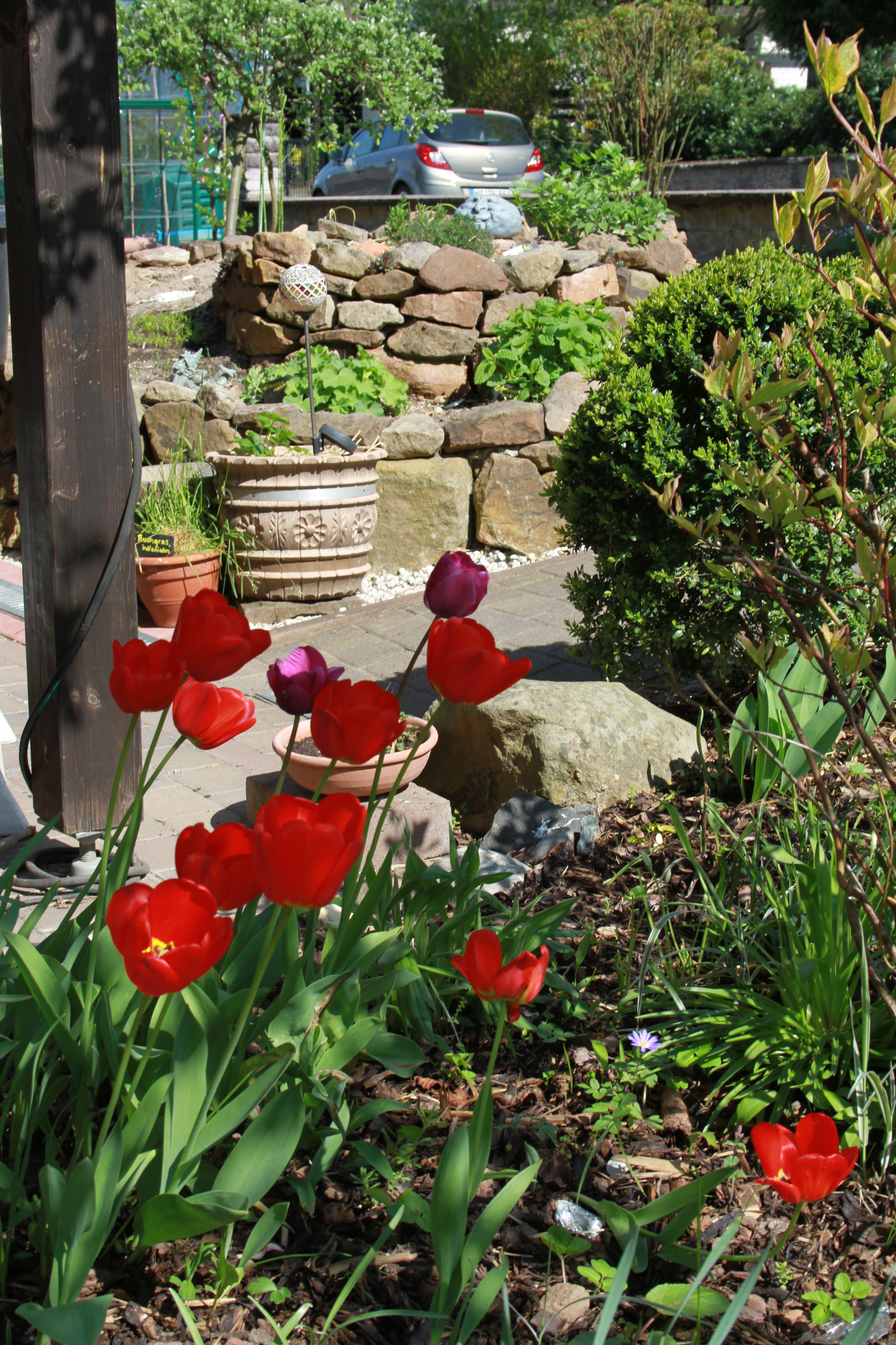 Foto: www.KreativeKaos.de