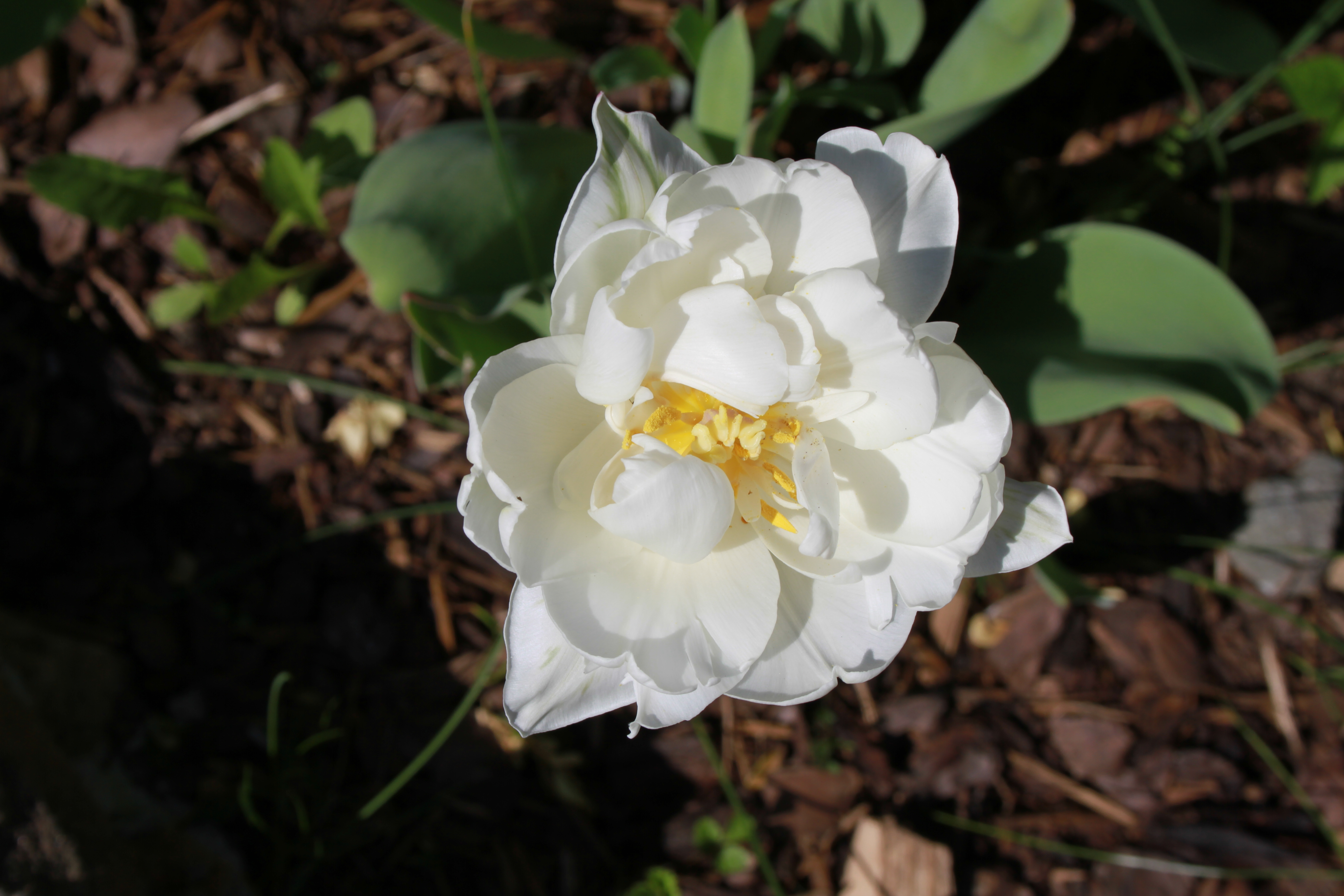 Foto: www.KreativeKaos.de