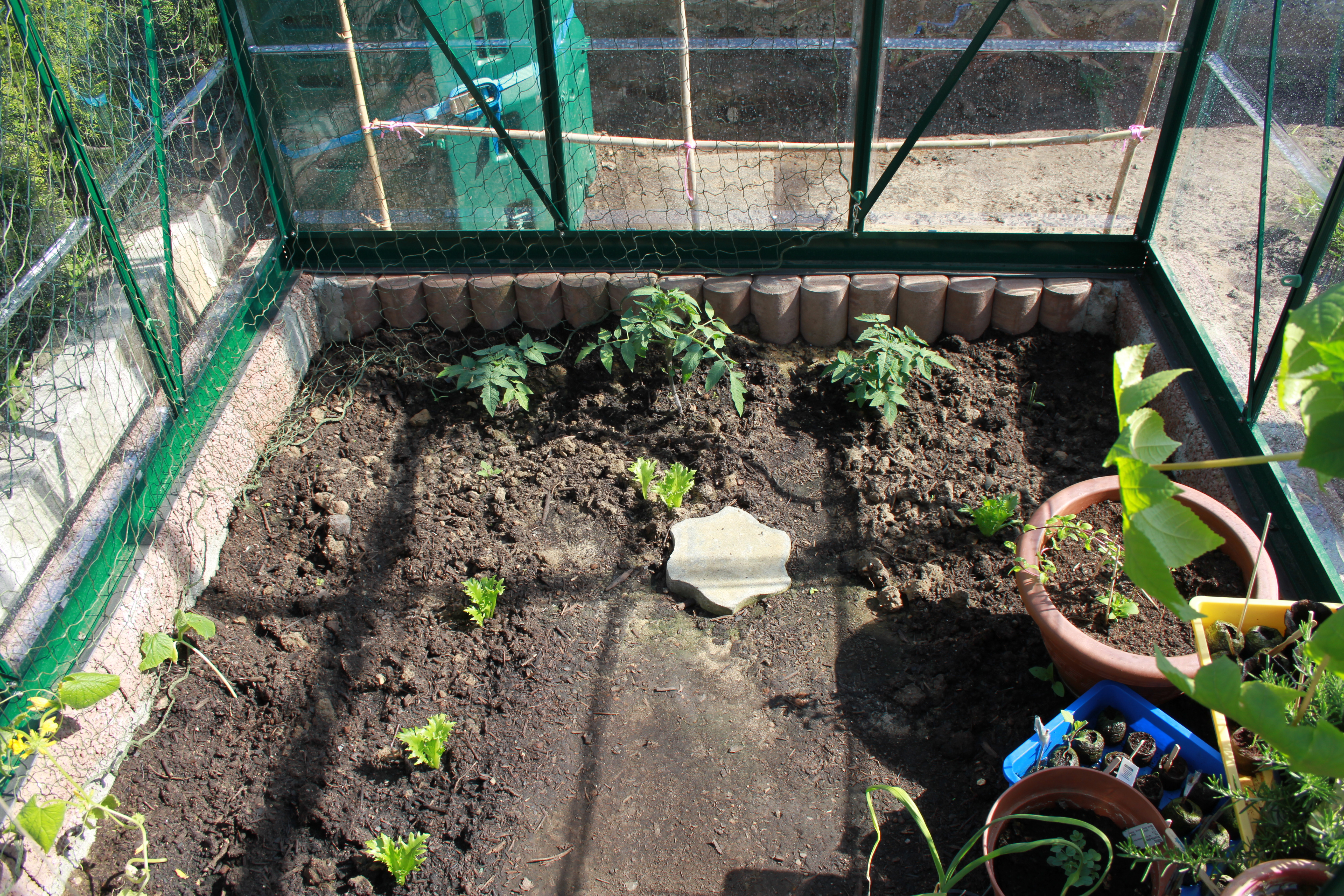 Foto: www.KreativeKaos.de