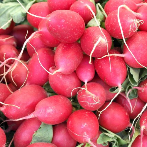 Radieschen