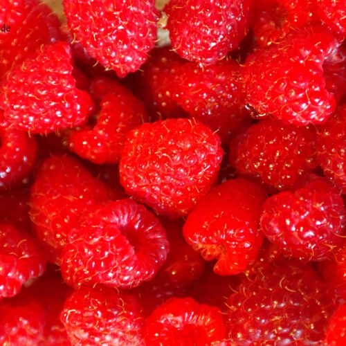 himbeeren