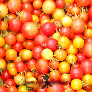 Tomaten