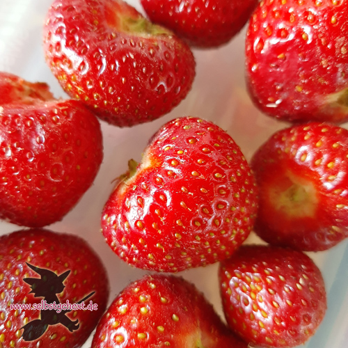Erdbeeren