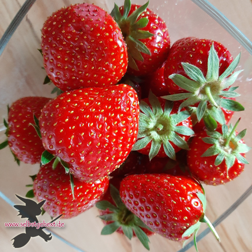 Erdbeeren