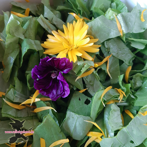 Salat mit Blümchen