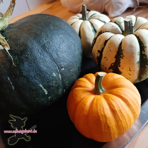 1 Kürbis