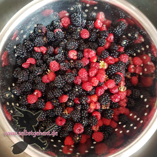 Himbeeren & Brombeeren