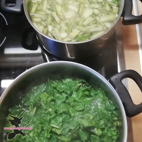 3 Mangold einmachen3